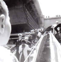 shellback06b.jpg (61742 bytes)